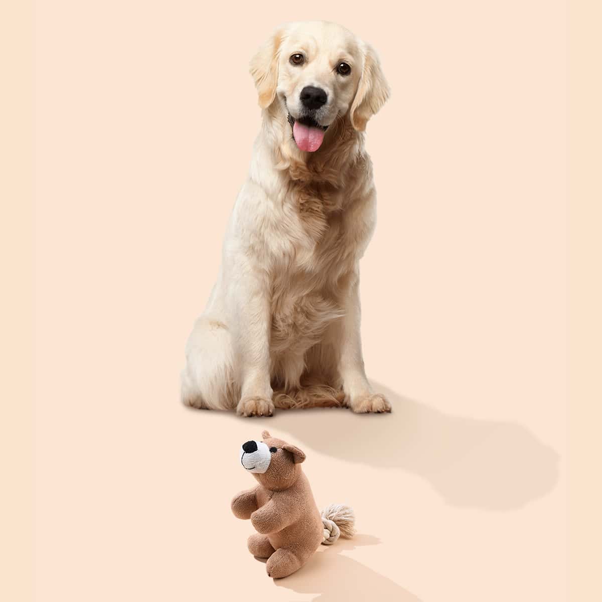 

Cartoon Plush Dog Chew Toy, Multicolor
