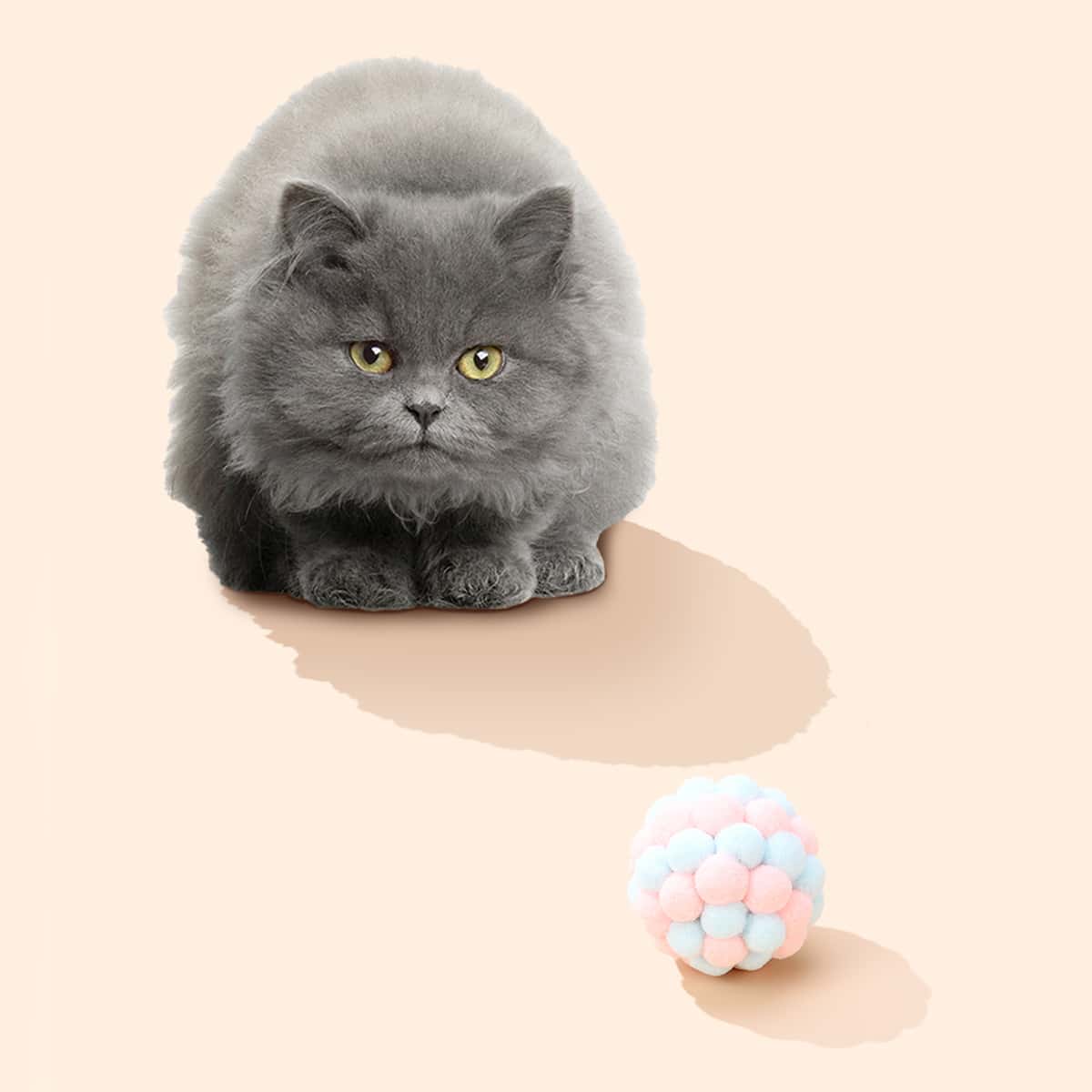 

Plush Bell Cat Sound Toy, Pink