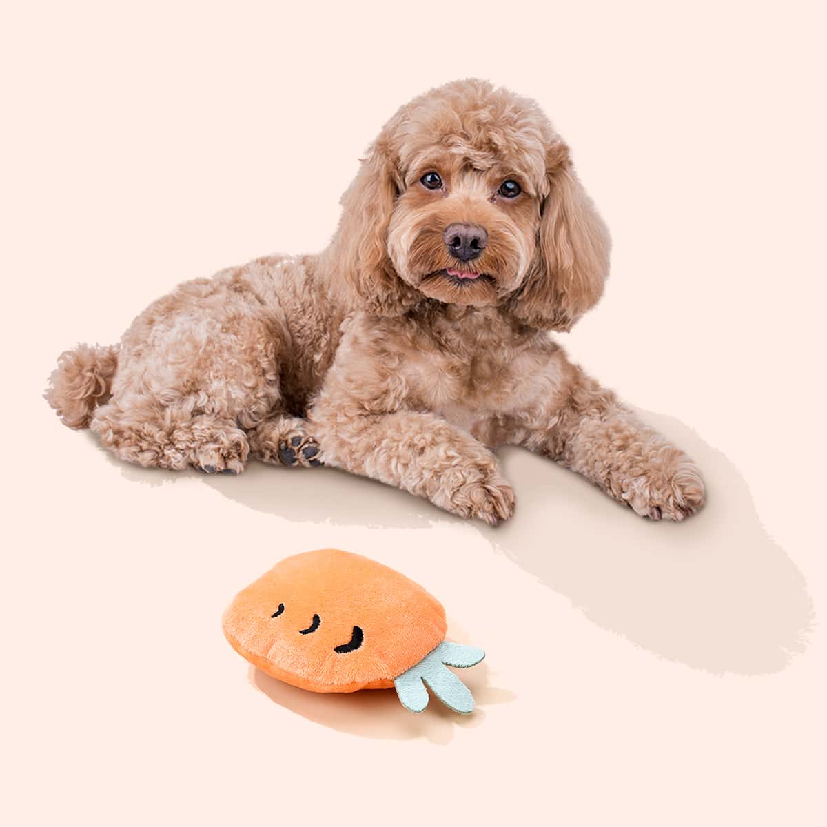 

Carrot Shaped Dog Sound Toy, Orange
