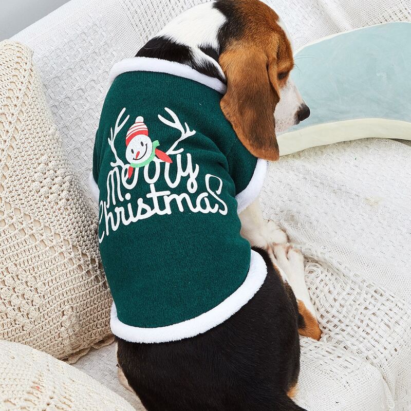 

Christmas Letter Graphic Dog Sweater, Multicolor