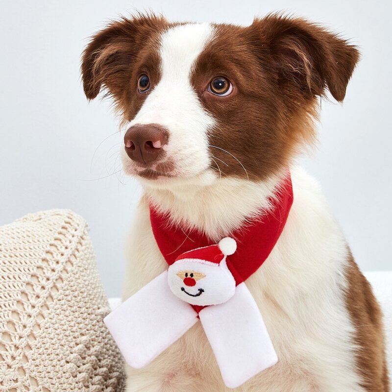 

Christmas Santa Decor Dog Scarf, Multicolor