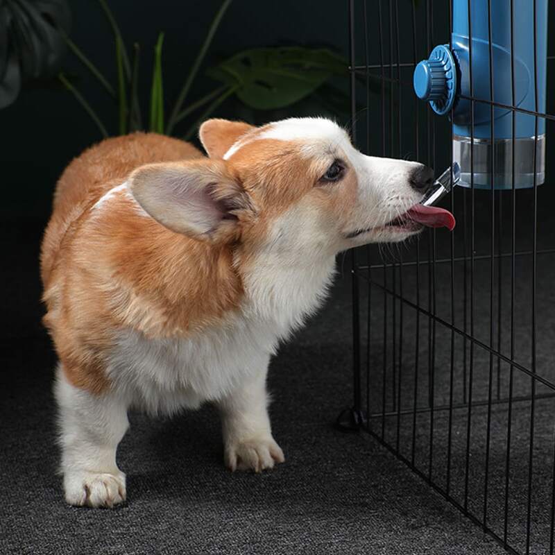 

1pc Hanging Dog Water Feeder, Navy blue