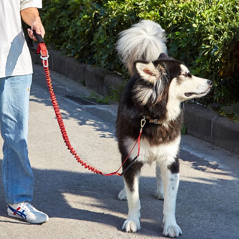 

2 In 1 Dog Car Seat Belt & Dog Leash, Red