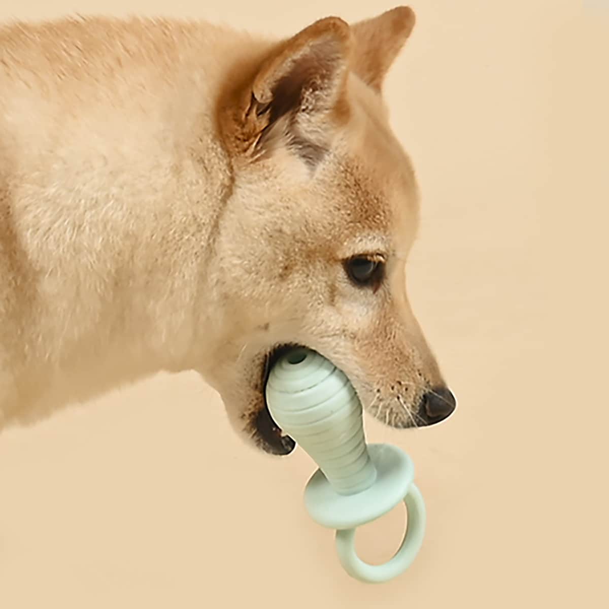 

Nipple Shaped Dog Toy, Mint green