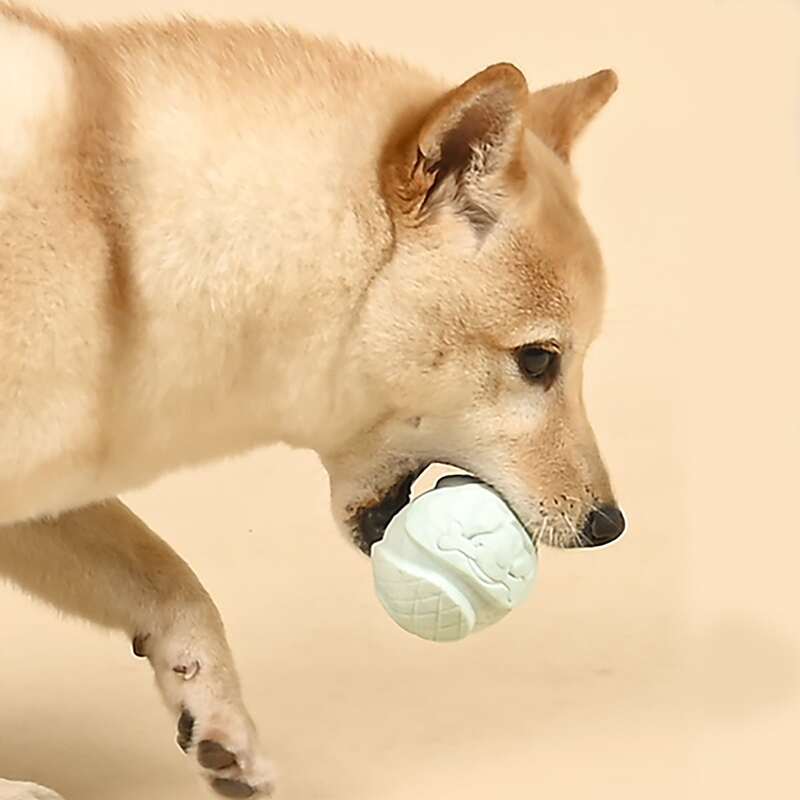 

Solid Ball Dog Toy, Mint green