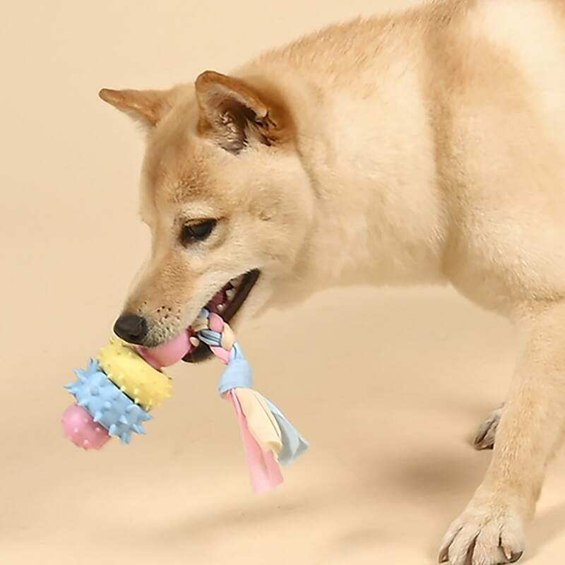 

Braided Rag Dog Toy, Multicolor