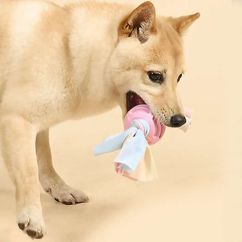 

Braided Rag Candy Shaped Dog Toy, Multicolor