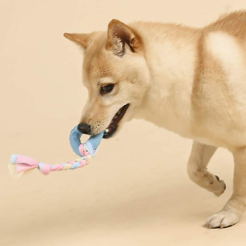 

Braided Rag Triangle Dog Toy, Multicolor