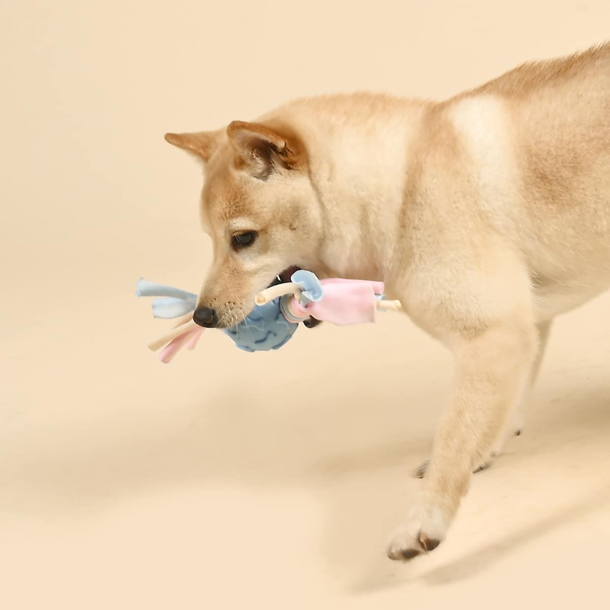 

Braided Rag Candy Shaped Dog Toy, Multicolor