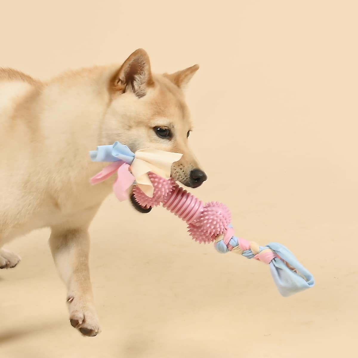 

Braided Rag Bone Shaped Dog Toy, Multicolor