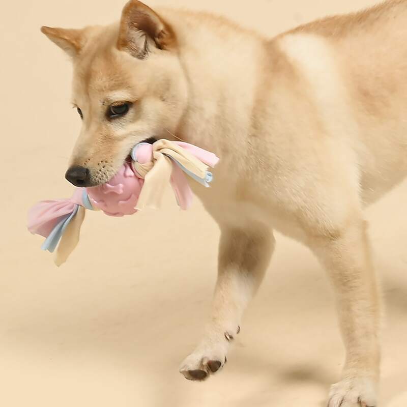 

Braided Rag Candy Shaped Dog Toy, Multicolor