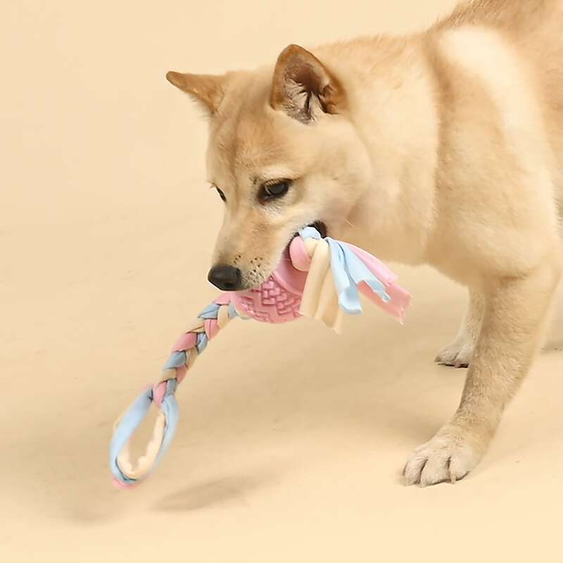 

Braided Rag Tire Ball Dog Toy, Multicolor