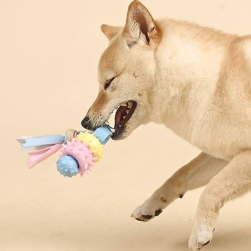 

Braided Rag Dog Toy, Multicolor