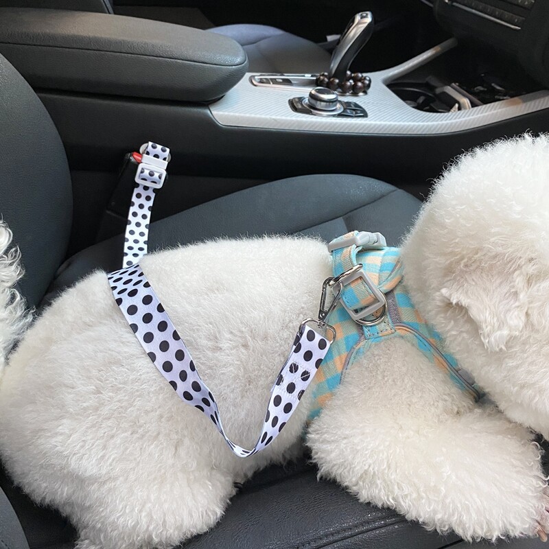 

Polka Dot Dog Car Seat Belt, Multicolor