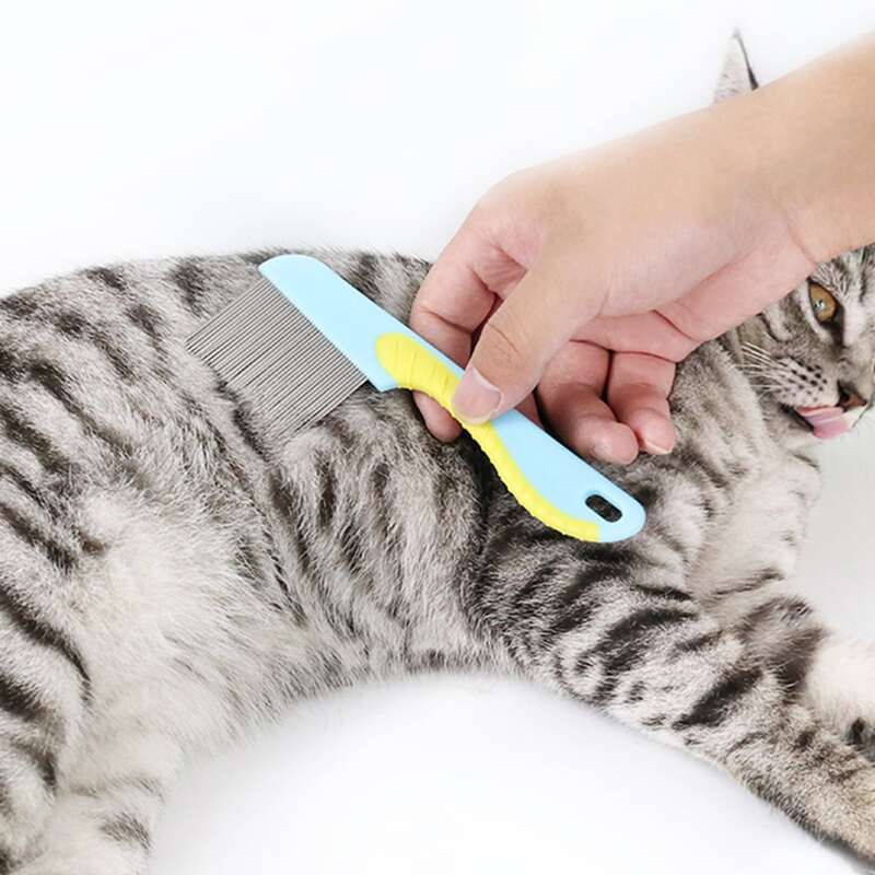 

Colorblock Cat Grooming Comb, Baby blue