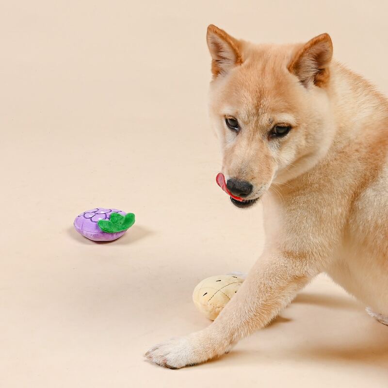 

2pcs Fruit Shaped Dog Sound Toy, Purple