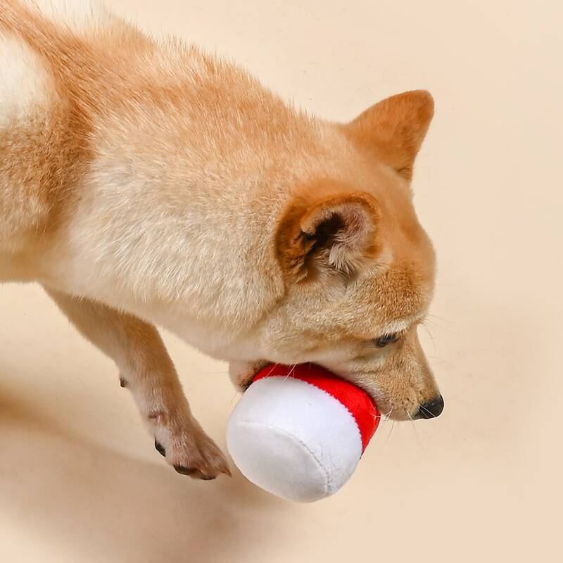 

Water Bottle Shaped Dog Sound Toy, Red