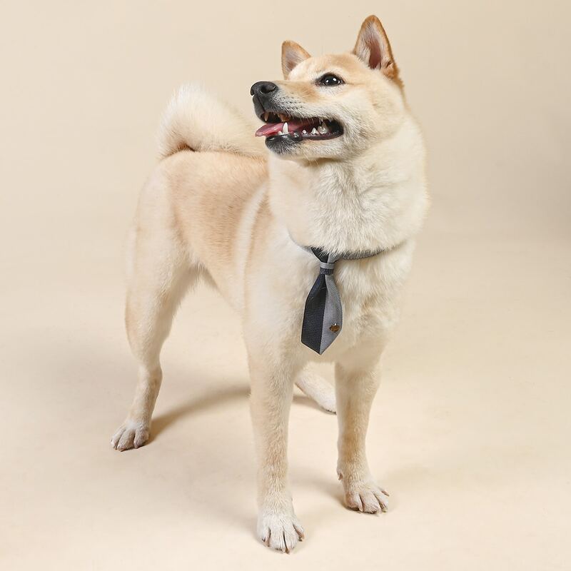

1pc Heart Decor Two Tone Dog Tie, Grey
