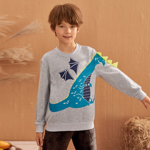 

Boys Dinosaur Print Triangle Trim Pullover, Light grey