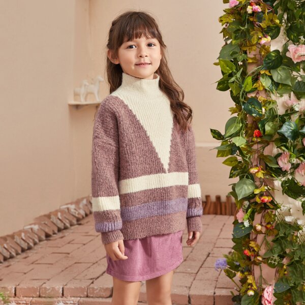 

Toddler Girl Colorblock Funnel Neck Sweater, Mauve purple