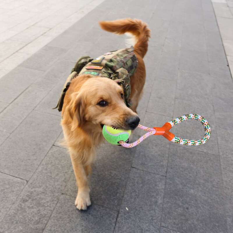 

Color Block Dog Toy Ball, Multicolor