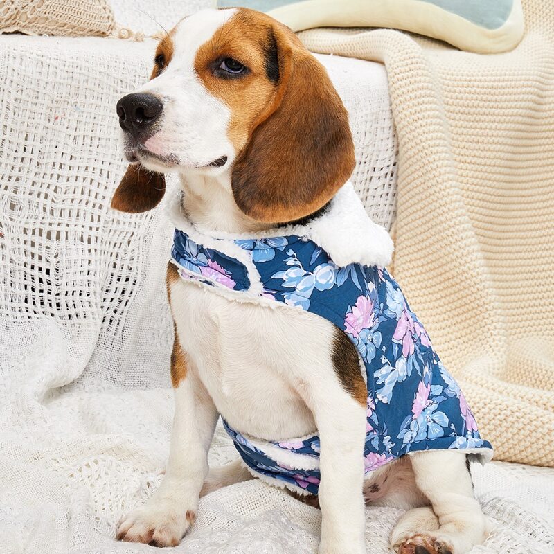 

Flower Print Warm Dog Jacket, Multicolor