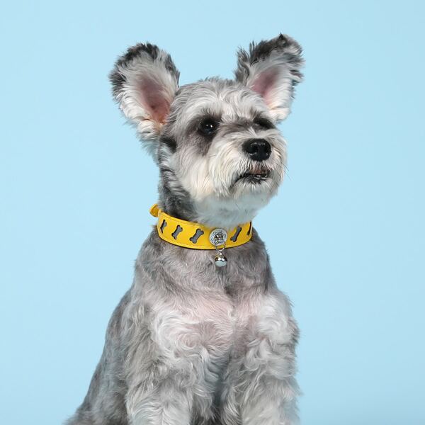 

1pc Bell Decor Buckle Dog Collar, Yellow