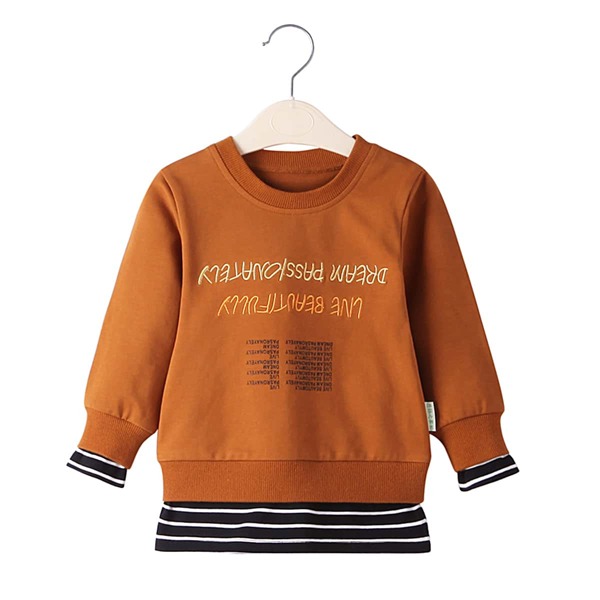 

Toddler Girls Letter Embroidery Stripe Trim Sweatshirt, Brown