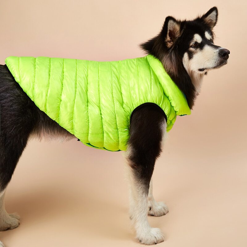 

Two-sided Button Dog Jacket, Green