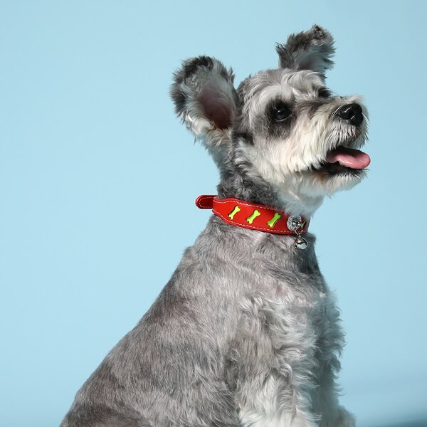 

1pc Bell Decor Buckle Dog Collar, Red
