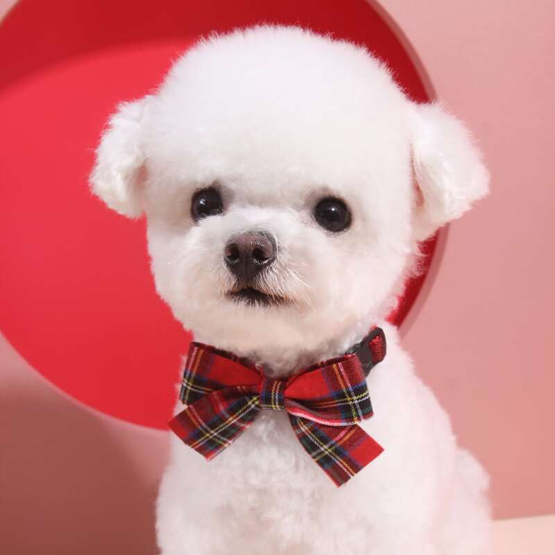 

Plaid Bow Decor Dog Collar, Red