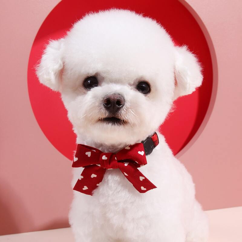 

Heart Print Bow Decor Plaid Dog Collar, Red