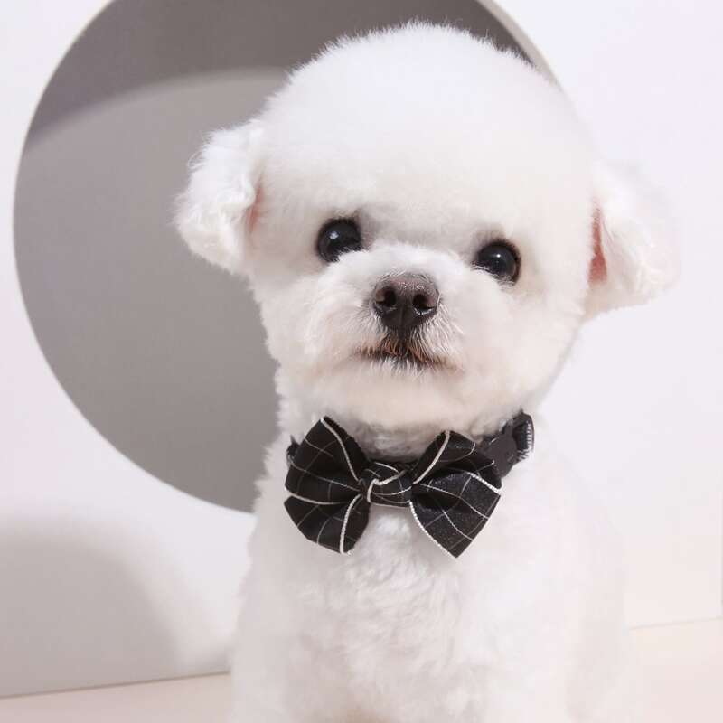 

Plaid Bow Decor Dog Collar, Black