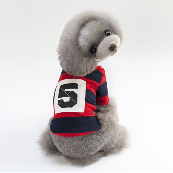 

Color Block Dog Top, Red