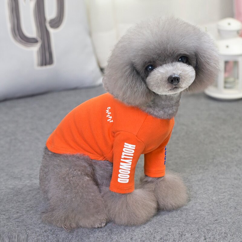 

Letter Graphic Dog Top, Orange