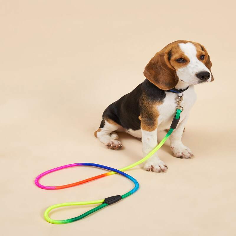

1pc Colorful Dog Leash, Multicolor