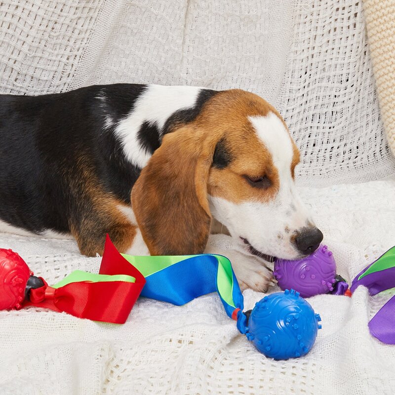 

1pc Random Dog Ball Toy With Ribbon, Multicolor