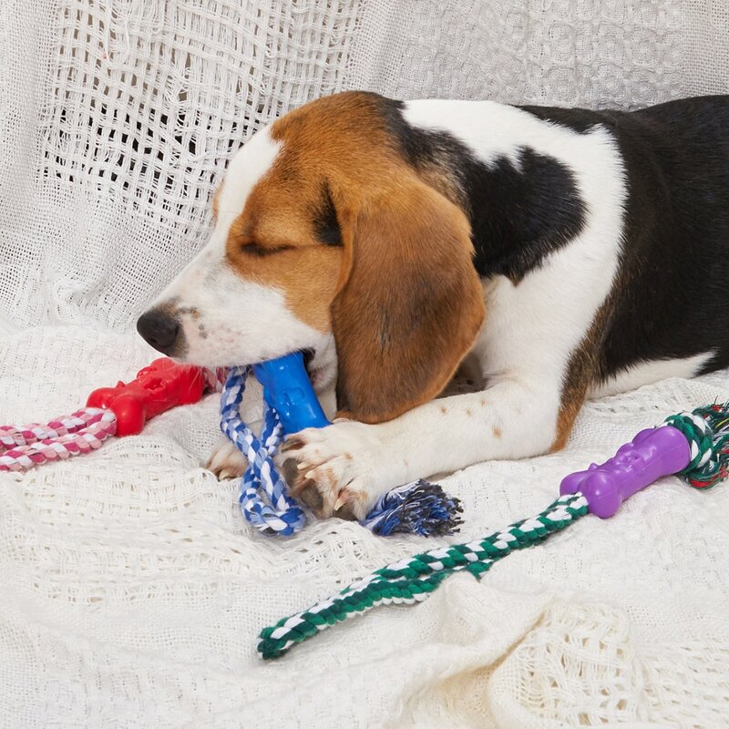 

1pc Random Dog Bone Shaped Toy With Rope, Multicolor