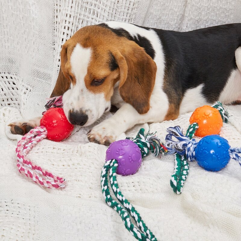 

1pc Random Dog Ball Toy With Rope, Multicolor