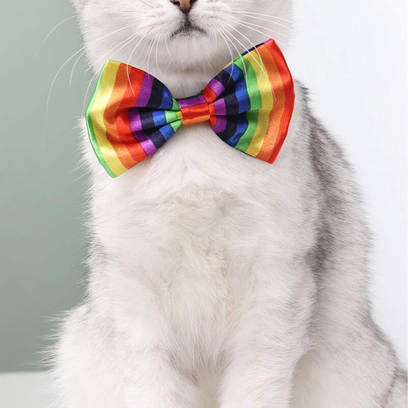 

Striped Pattern Cat Bow Tie, Multicolor