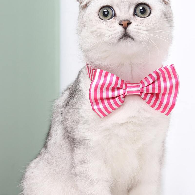

Striped Pattern Cat Bow Tie, Hot pink
