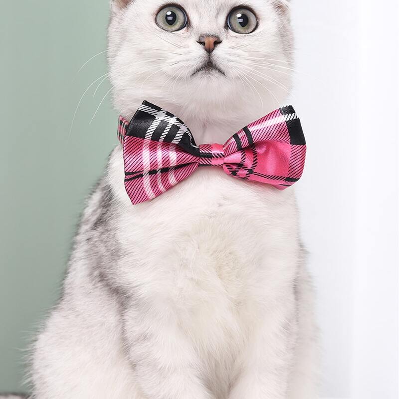 

Plaid Pattern Cat Bow Tie, Hot pink