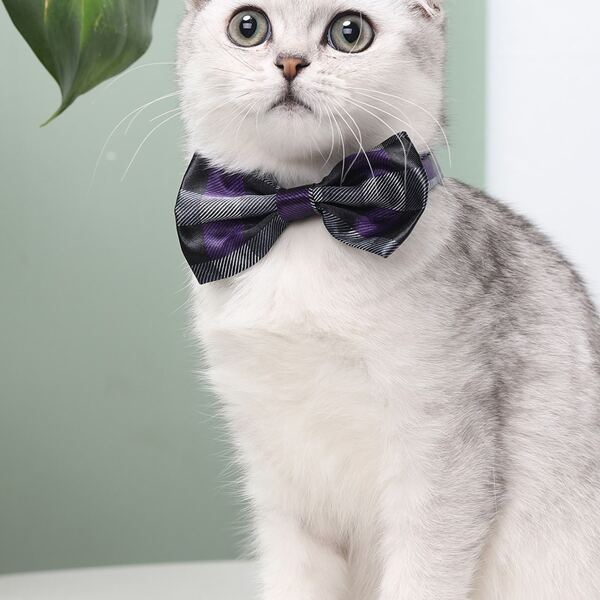 

Plaid Pattern Cat Bow Tie, Purple