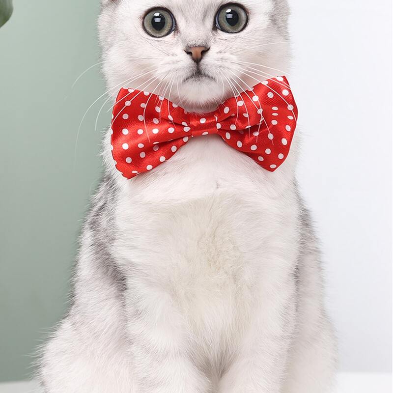 

Polka Dot Pattern Cat Bow Tie, Red