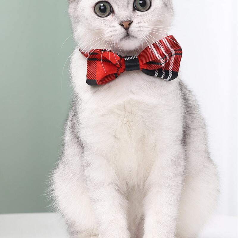 

Plaid Pattern Cat Bow Tie, Red