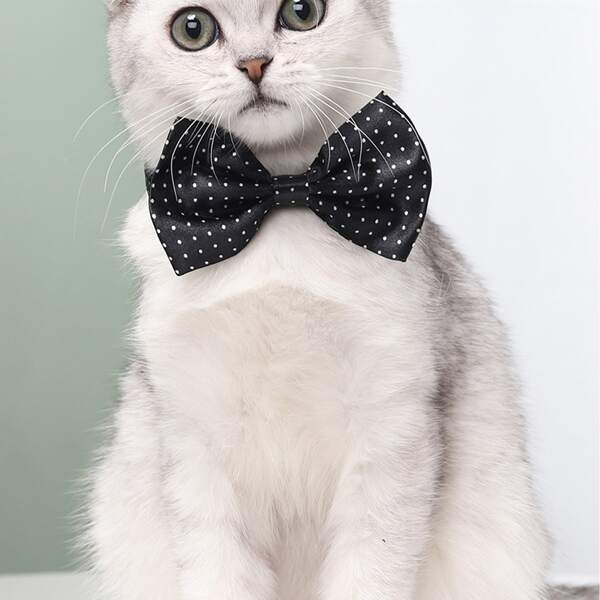 

Polka Dot Pattern Cat Bow Tie, Black