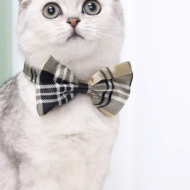 

Plaid Pattern Cat Bow Tie, Khaki