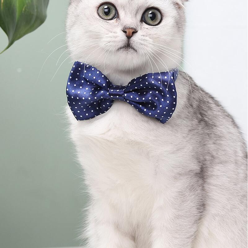 

Polka Dot Pattern Cat Bow Tie, Blue