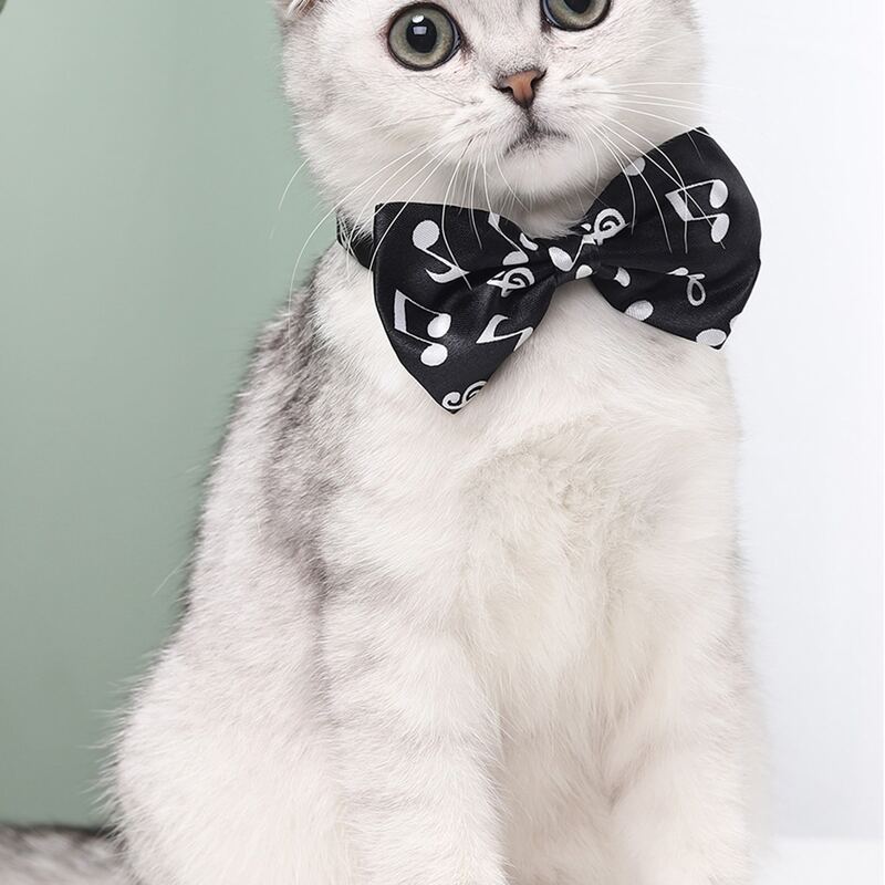 

Music Note Print Cat Bow Tie, Black