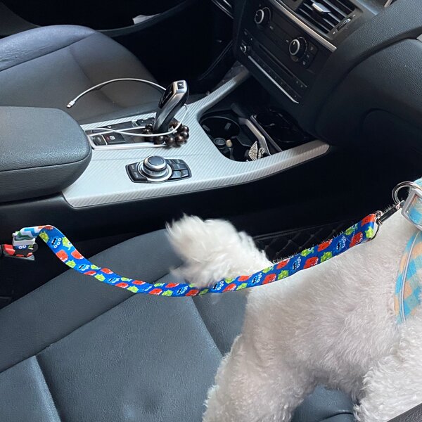 

Cartoon Graphic Dog Car Seat Belt, Multicolor